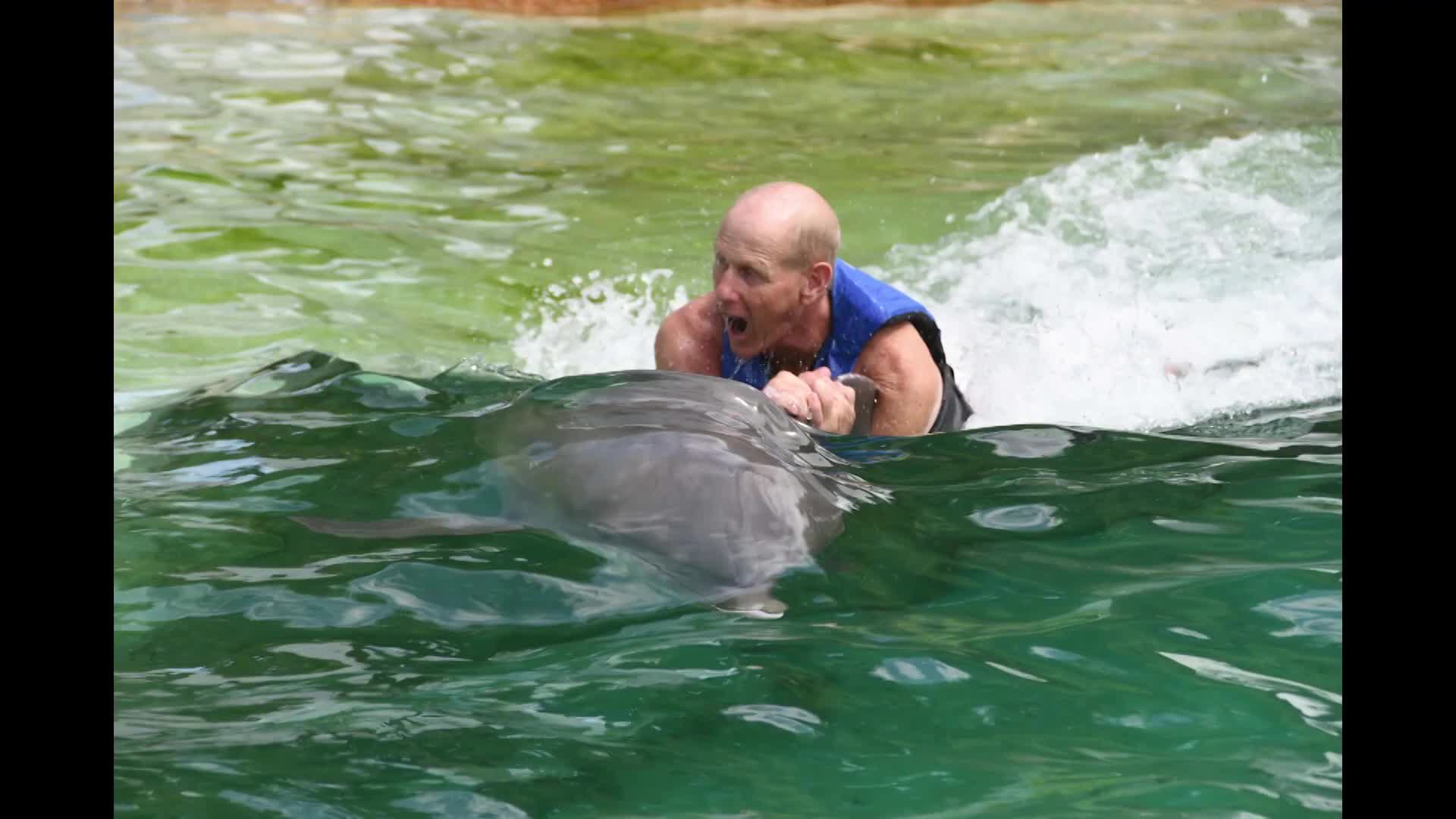 Thumbnail image for CAPTAIN RICK'S AUGUST FUN!- Surfing and Swimming with Dolphins