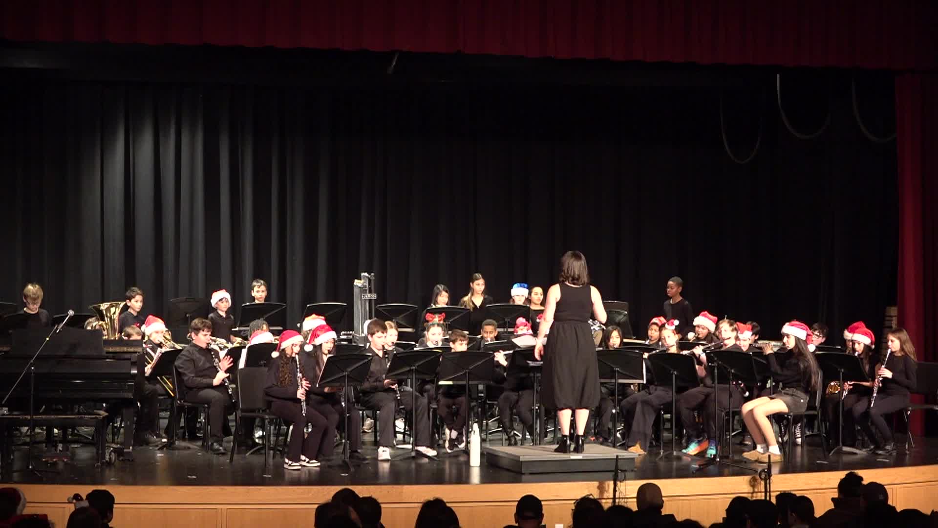 Thumbnail image for DMS Winter 2025 Bands Concert