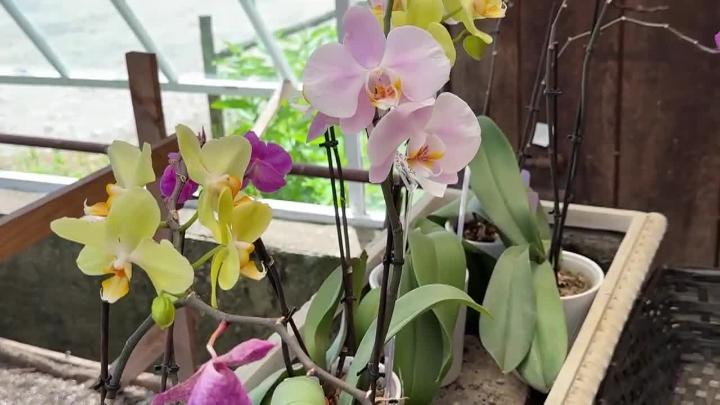 Thumbnail image for NEW! TWO GRANNIES ON THE ROAD --Where the HECK is WHATELY?