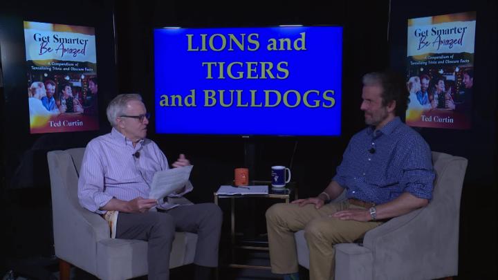 Thumbnail image for NEW FOR SEPTEMBER! THE TED CURTIN TRIVIA SHOW--MEET THE MultiI-Talented  MATT ROBINSON- Author, Coach, Teacher and Much More!
